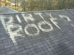 Dirty Roof? Clean It Up – Or You Could Lose Your Homeowners Coverage!
