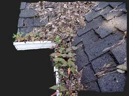Your Gutters Are Trying to Tell You Something