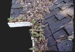 gutters