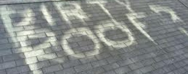 Dirty Roof? Clean It Up – Or You Could Lose Your Homeowners Coverage!