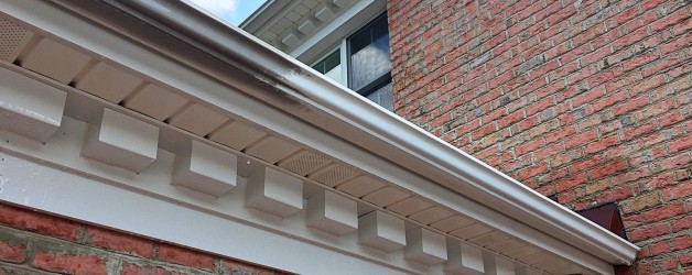 Exterior Gutter Cleaning