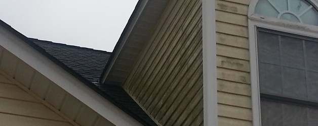 Why Hire A Professional Power Washer?